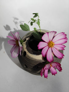 Le vase CLÉO